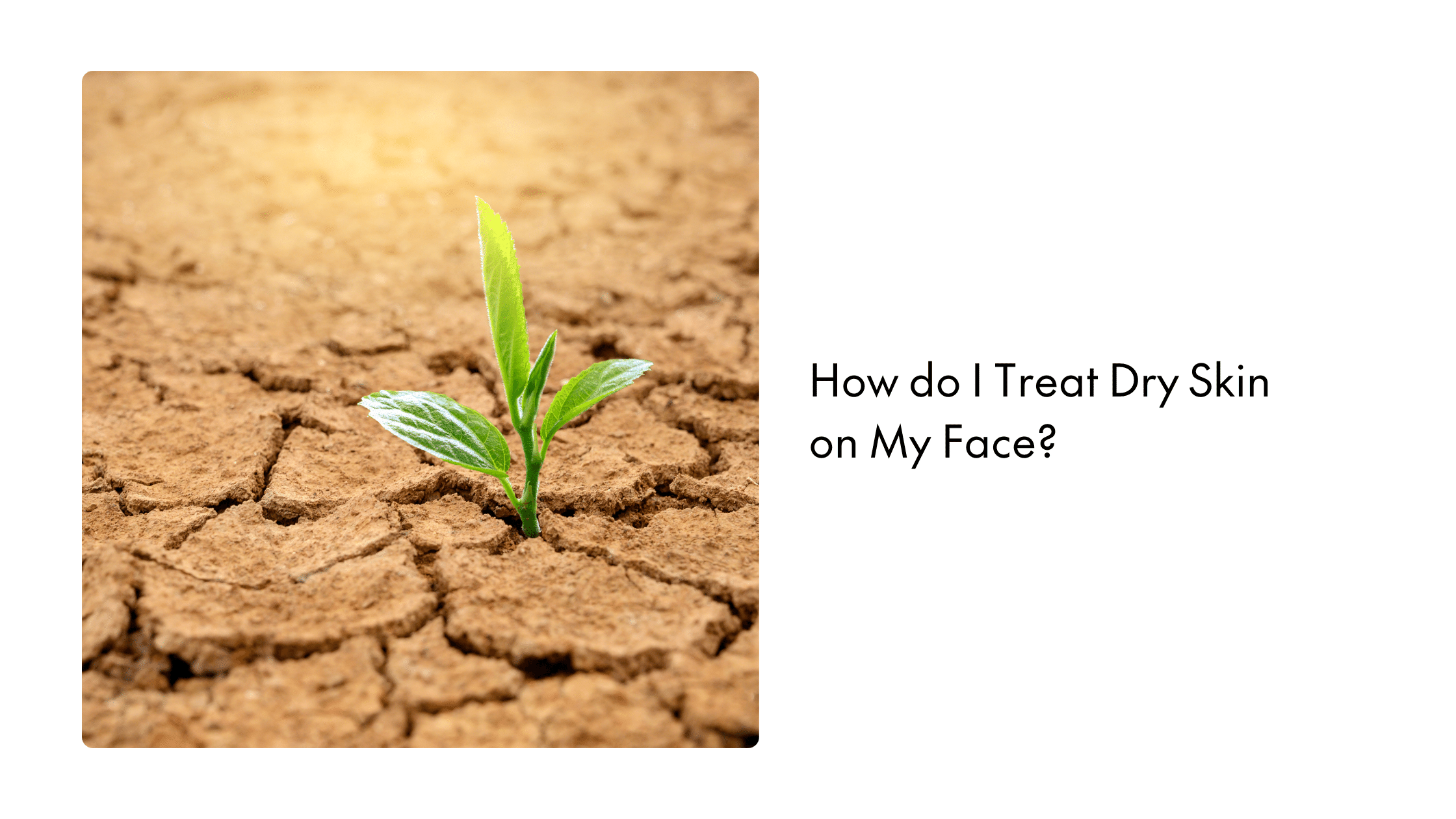 How do I Treat Dry Skin on My Face?