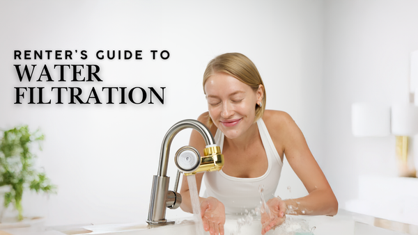 The renter's guide to better shower water.