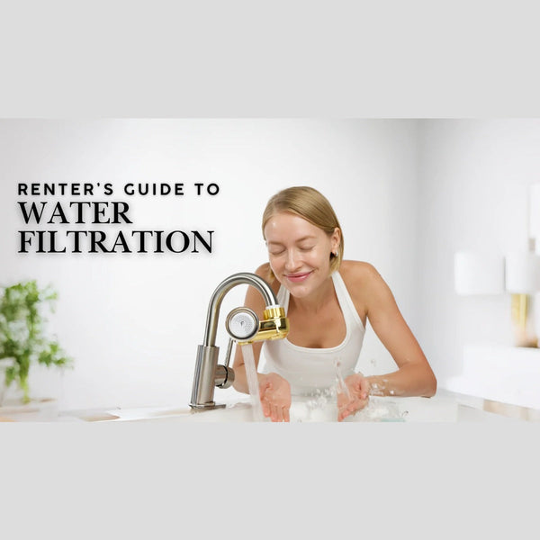 The renter's guide to better shower water.