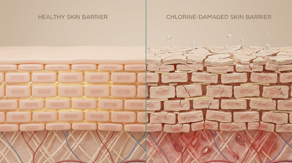 Chlorine vs. chloramine: what's actually in your shower water