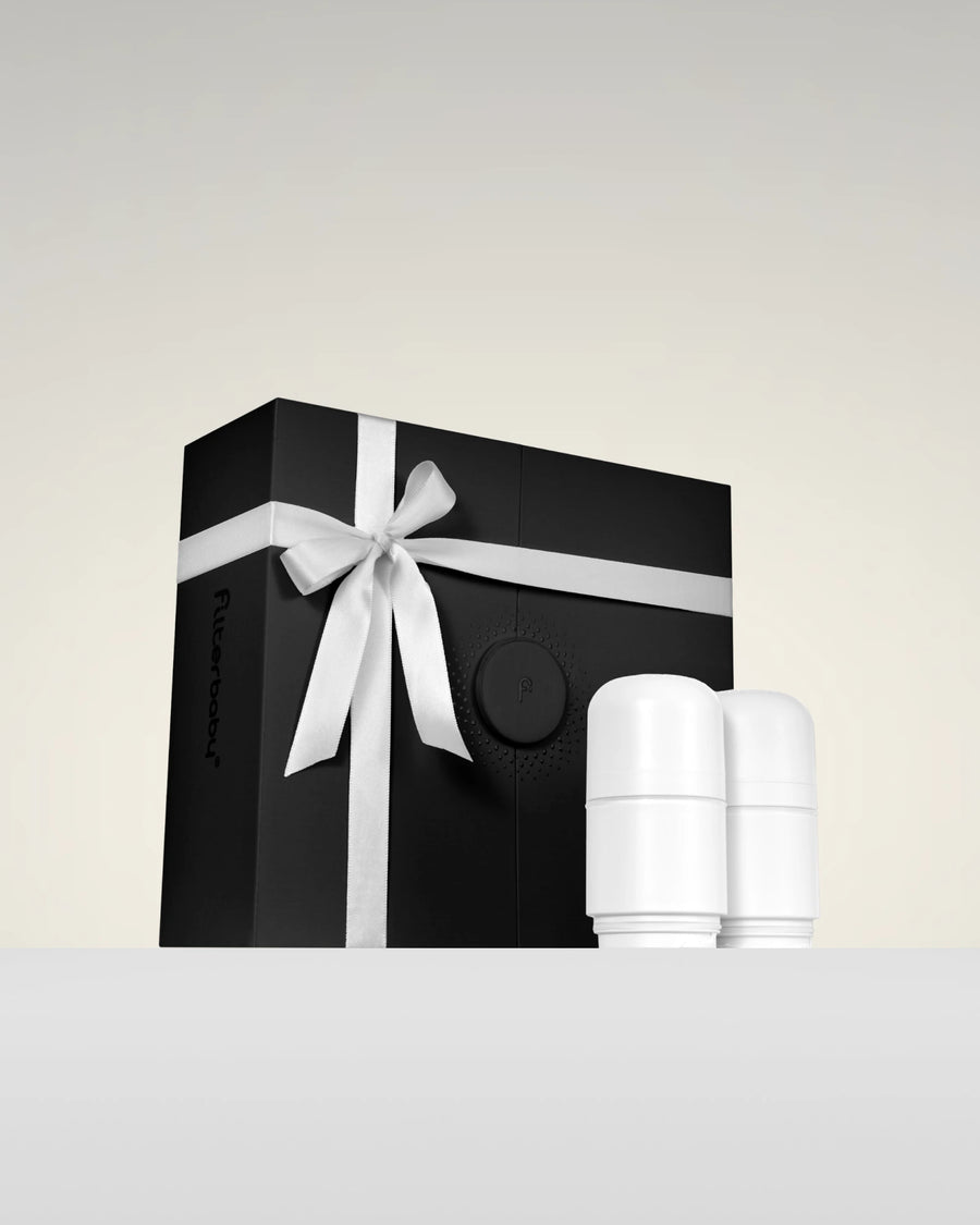 Pro Faucet Filter Replacement (2-Pack)