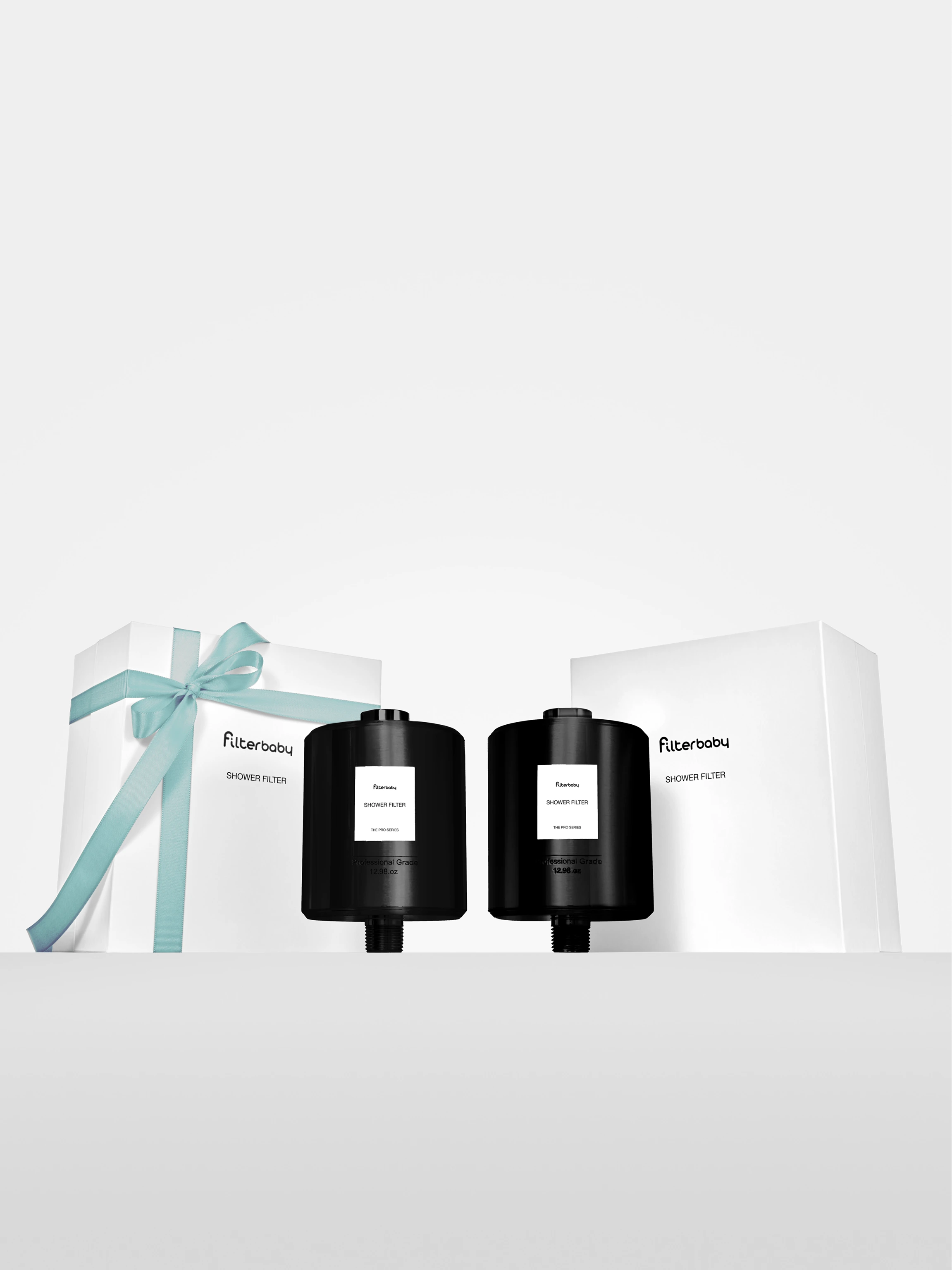 Filterbaby Pro Series Titanium Aluminum Shower Filter (2-Pack)