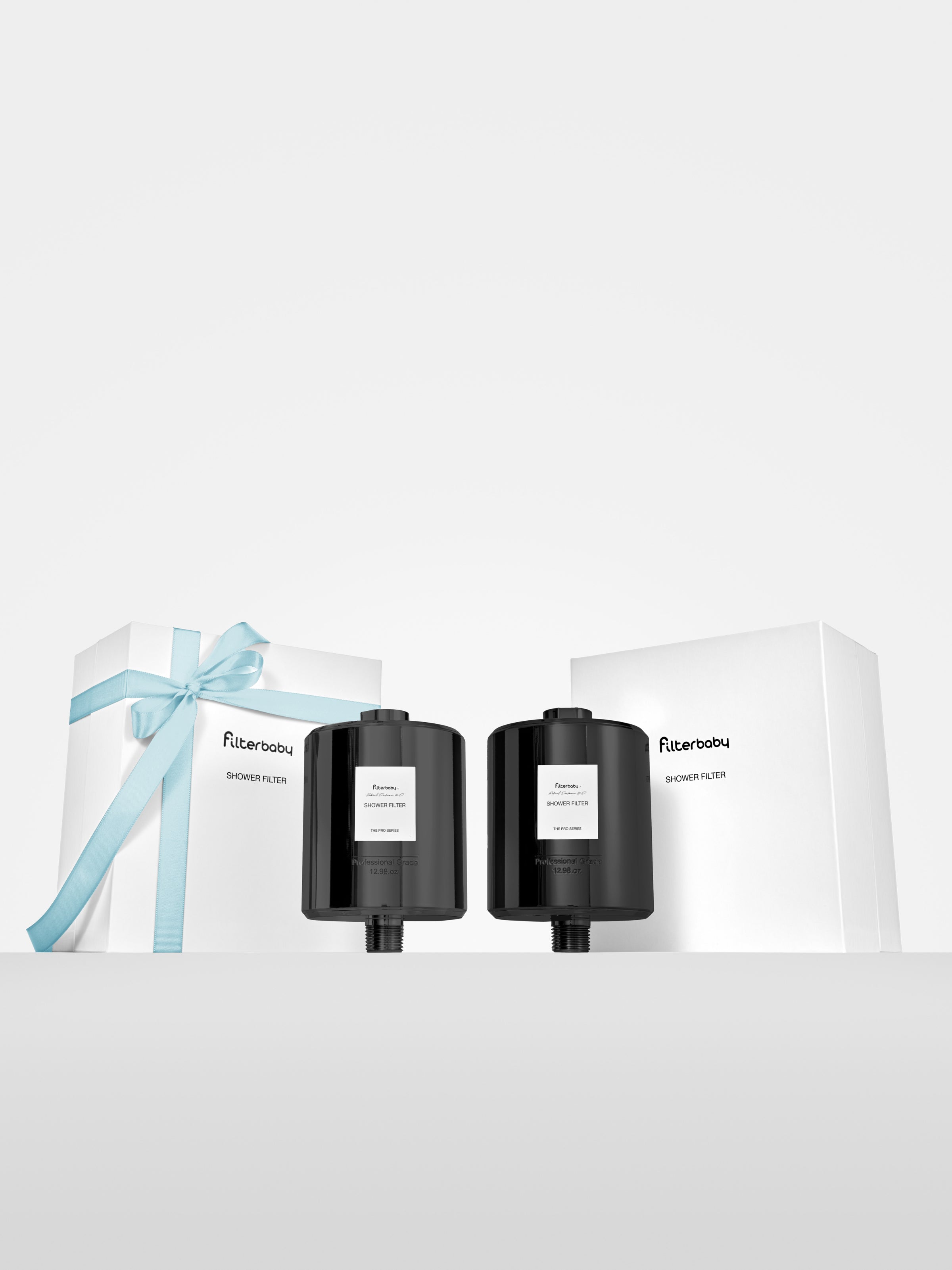 Filterbaby Pro Series Titanium Aluminum Shower Filter (2-Pack)