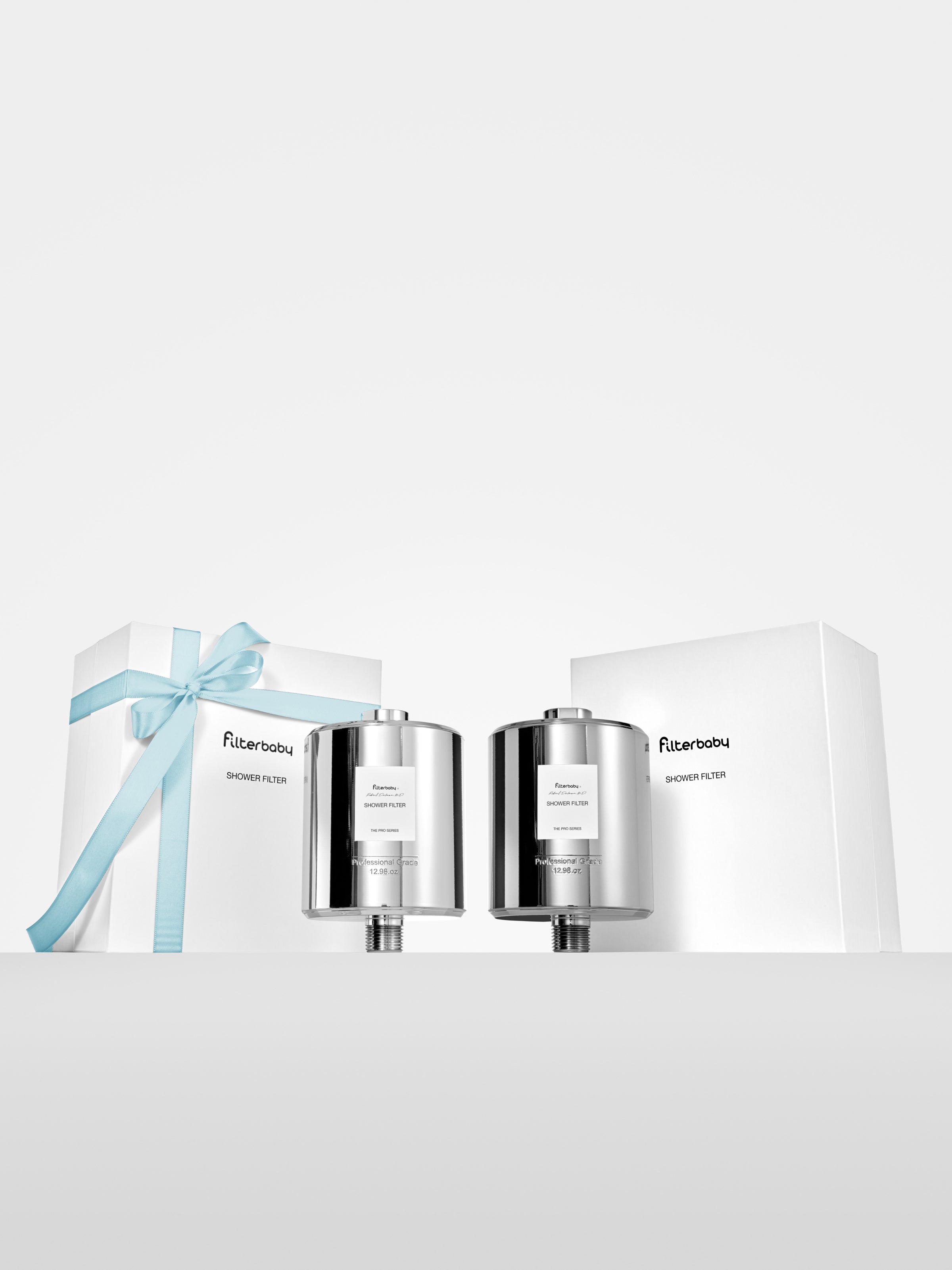 Filterbaby Pro Series Titanium Aluminum Shower Filter (2-Pack)