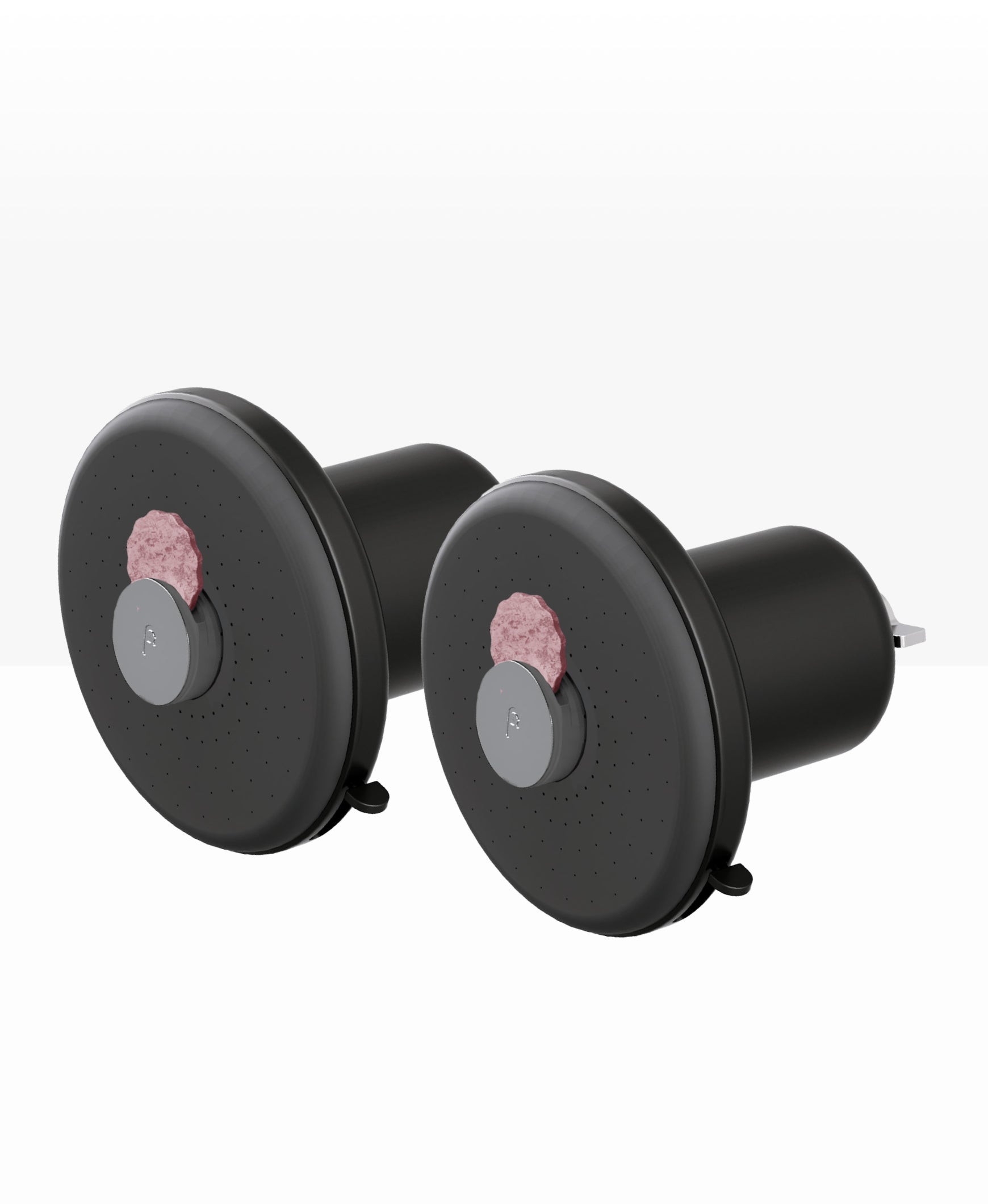 Showerhead Pro Filter (2-Pack)