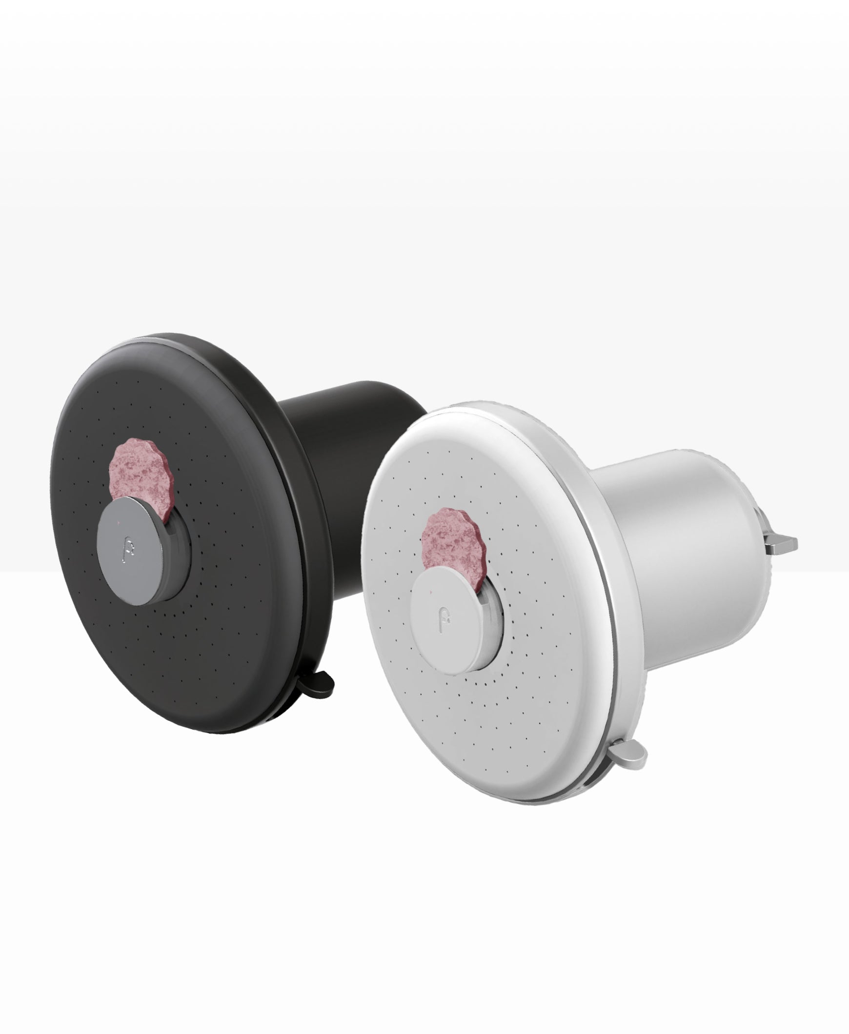 Showerhead Pro Filter (2-Pack)