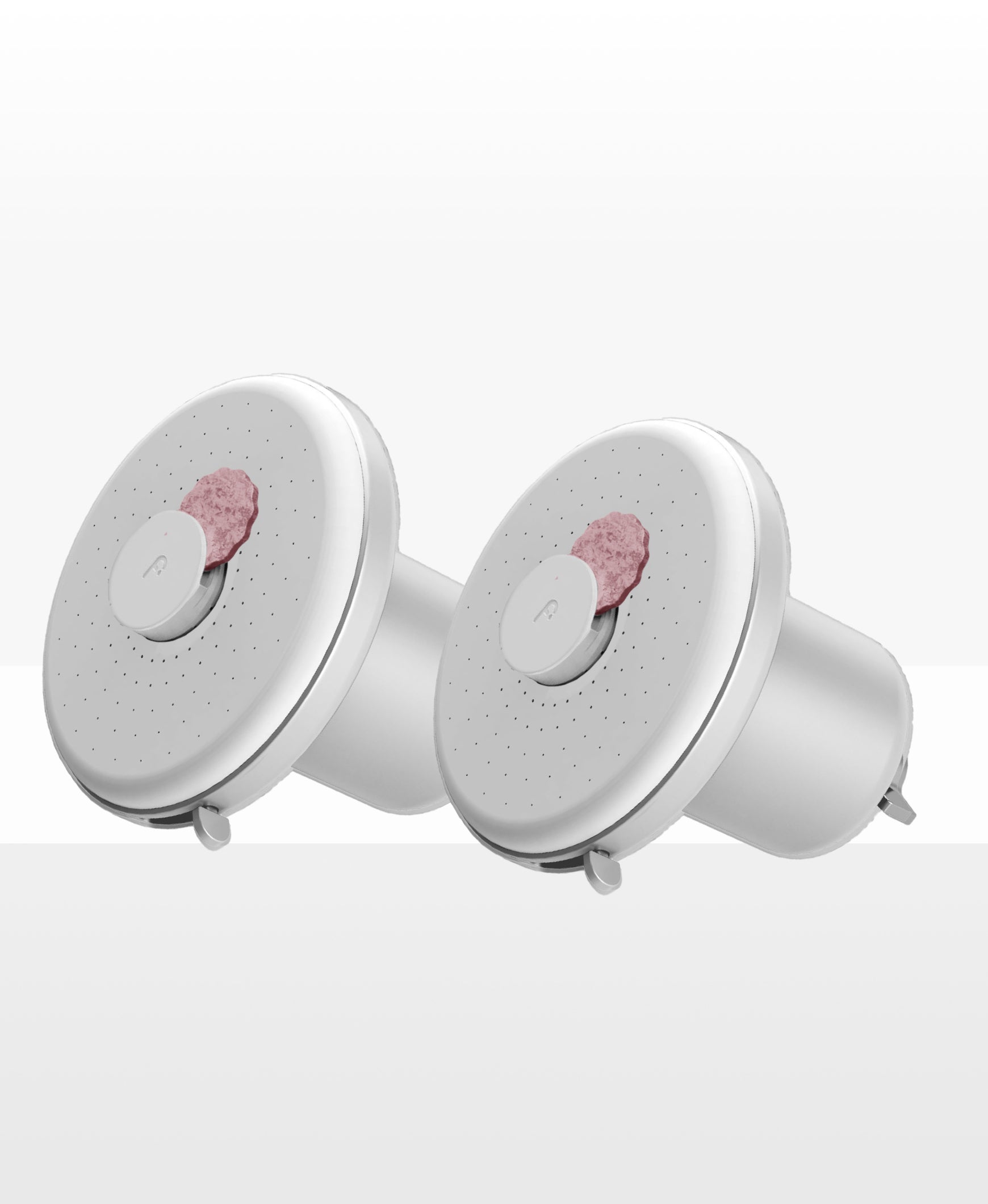 Showerhead Pro Filter (2-Pack)