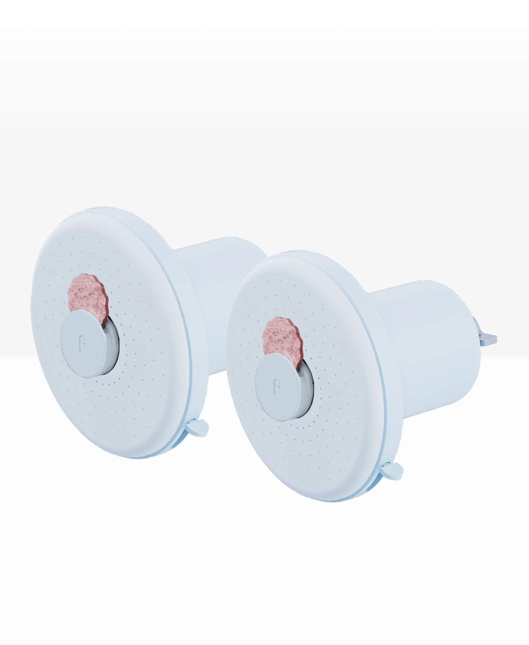 Showerhead Pro Filter (2-Pack)