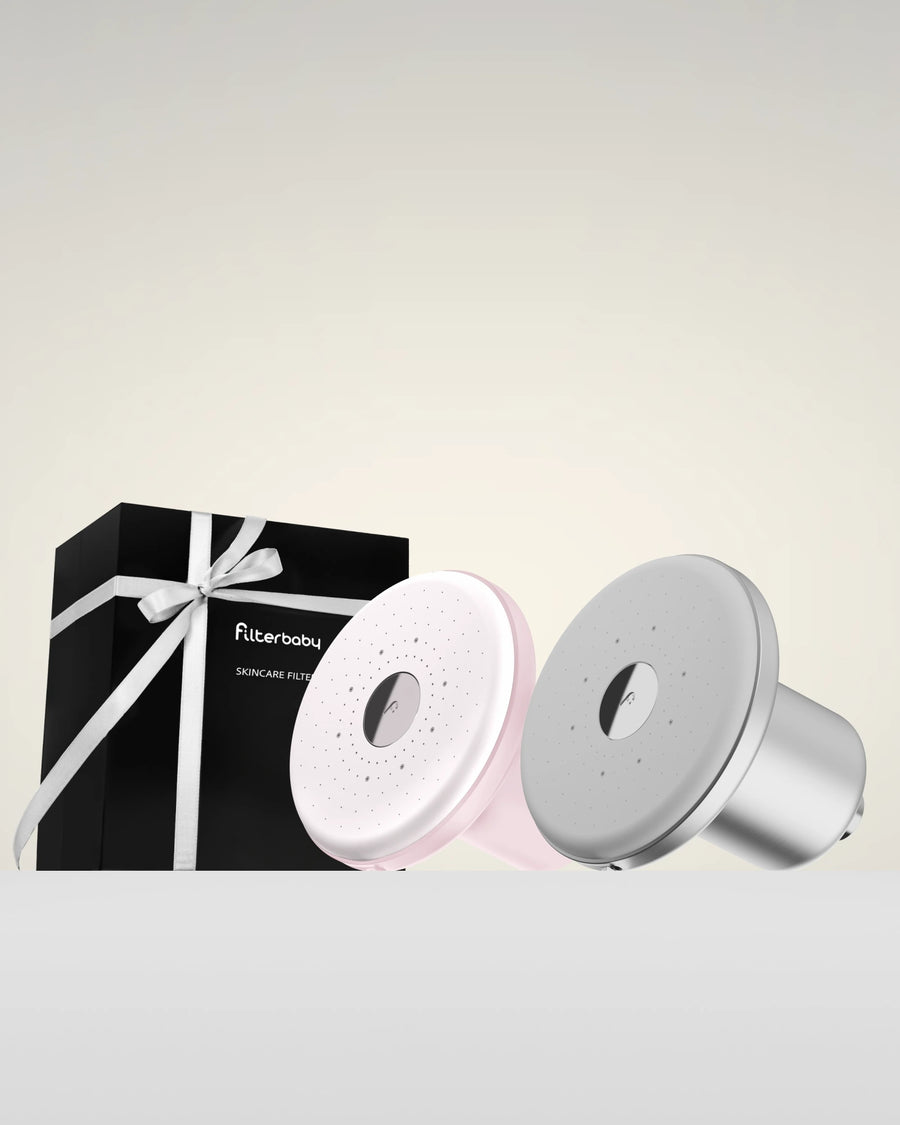 Showerhead Pro Filter (2-Pack)