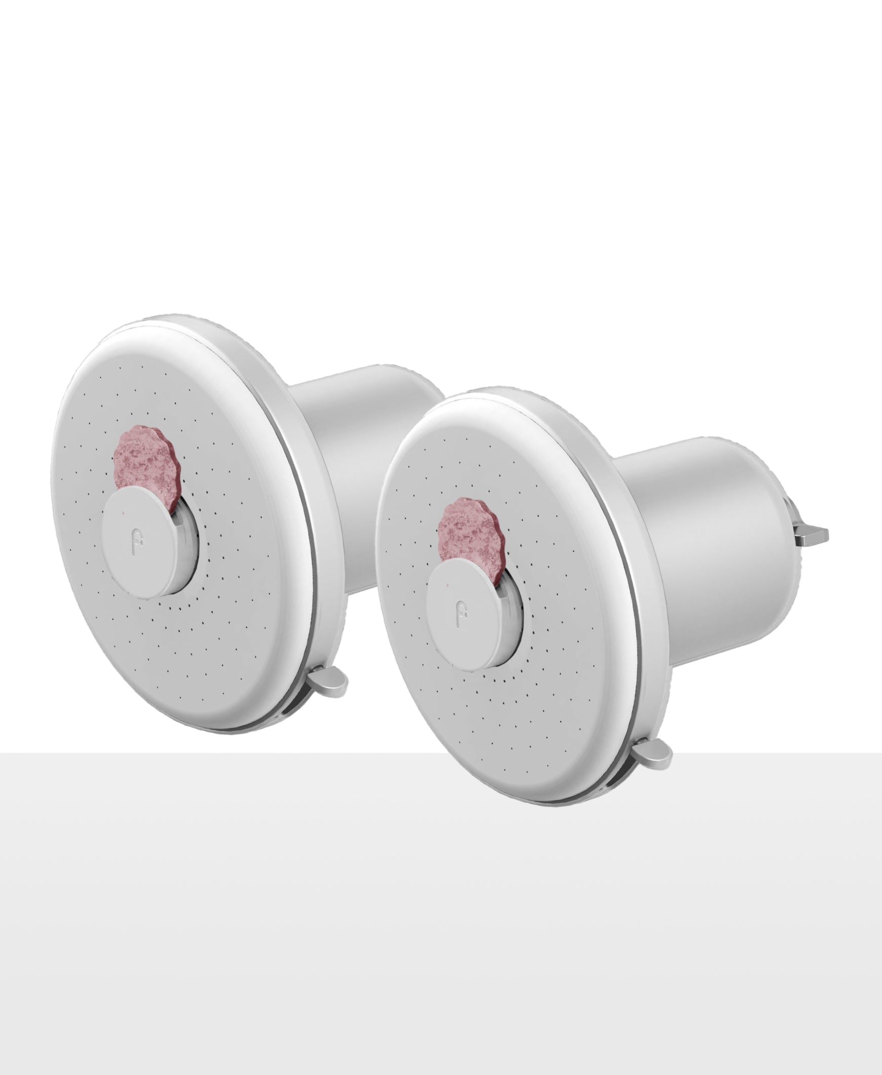 Showerhead Pro Filter (2-Pack)