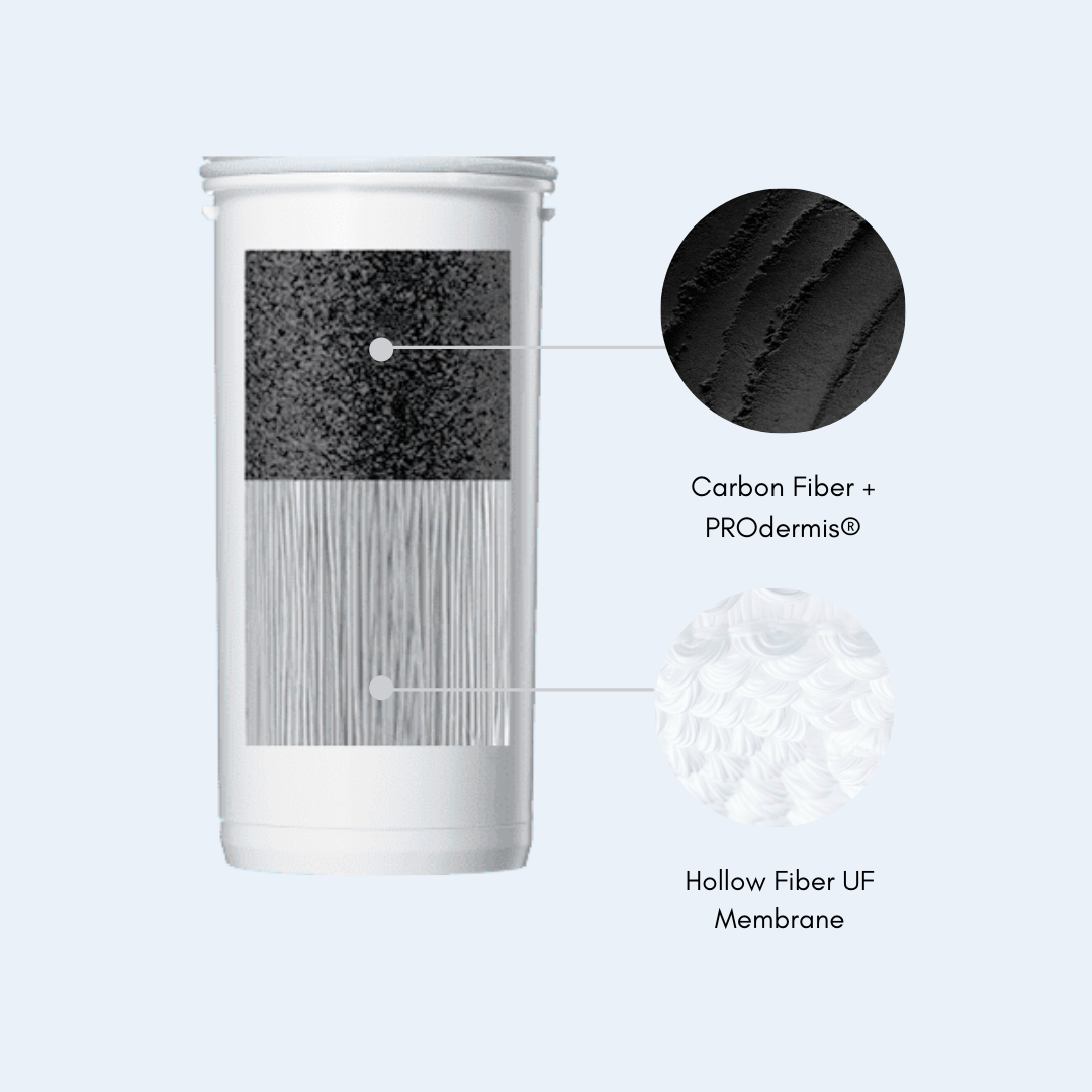 PROdermis™ 2-Pack Filter Replacement (6 month supply)